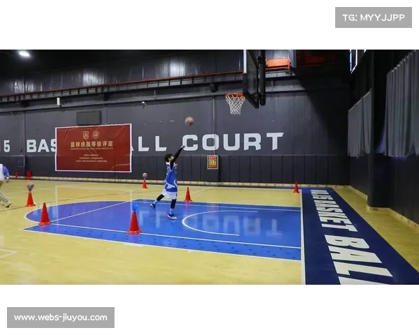 篮球训练促进青少年执行力发展的最新研究发现 篮球训练促进青少年执行力发展的最新研究发现